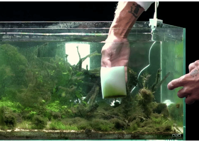 Nettoyant magnétique pour algues de l'animalerie