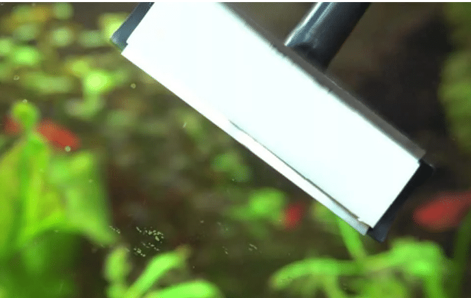how to clean aquarium glass without scratching